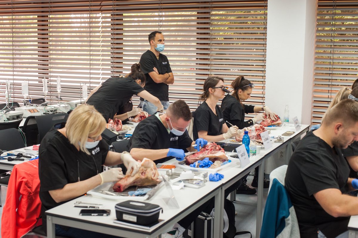 Učebňa Infinity Academy počas hands-on tréningu